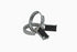 Ameya अमेय | Onyx | Hoop | Silber | Rhodiniert